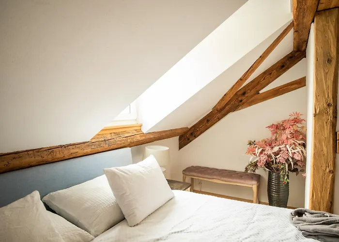 Moderne Altbauwohnung Im Zentrum Von Mit Wellness Berna